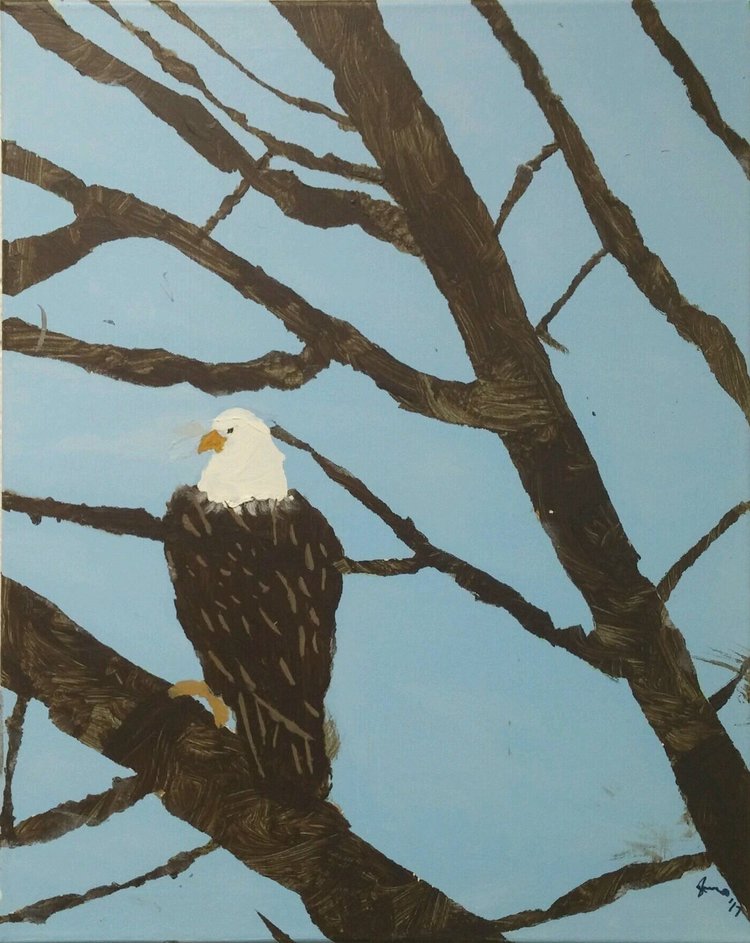 painting of bald eagle in tree branch