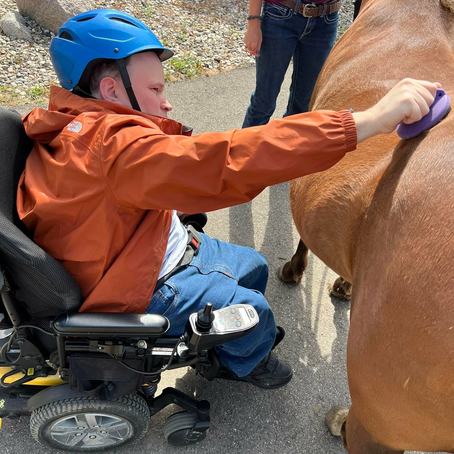 casey l grooming horse